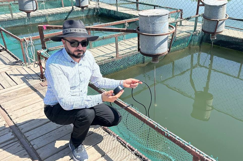 Experts from the Spanish company OX